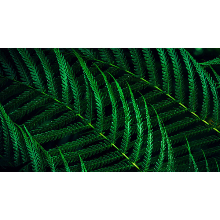 PHILIPS 238 169 WLED 1920X1080 100HZ